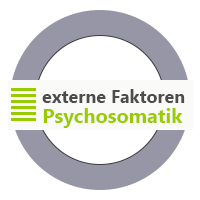 Psychosomatik Coaching externe Faktoren