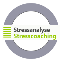 Stress Coaching Stressanalyse